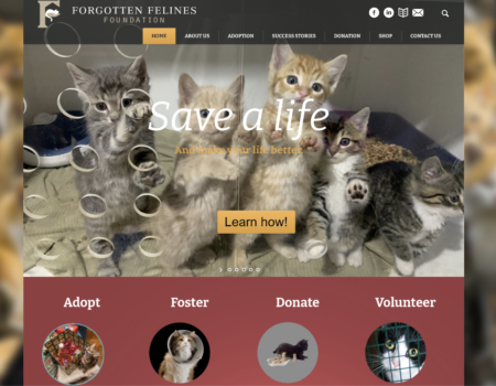 Forgotten Felines Foundation